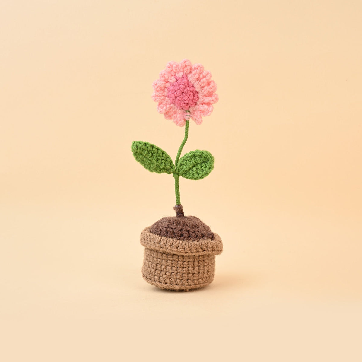 🎁 Crochet Flower